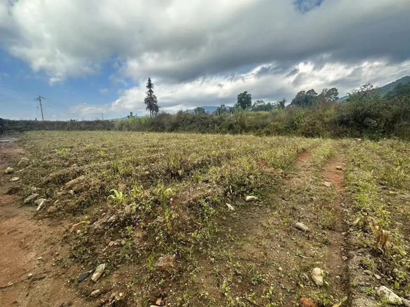 微信图片_20240206145912