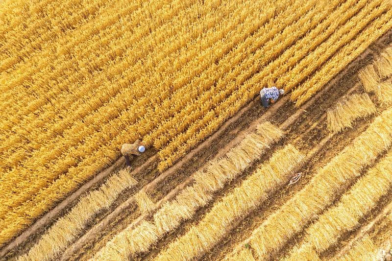 微信图片_20240304150925