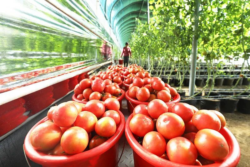 微信图片_20240304150929