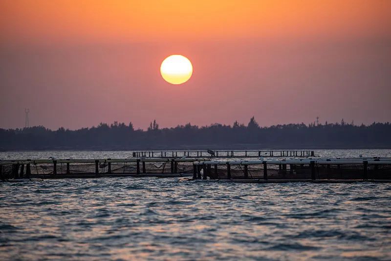 微信图片_20240304150933