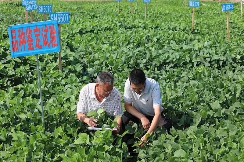 微信图片_20240304150937