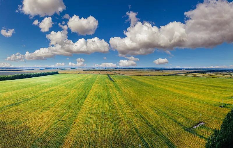 微信图片_20240304150948