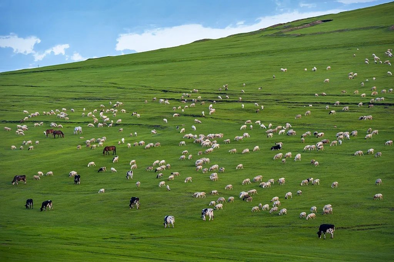 微信图片_20240304151007