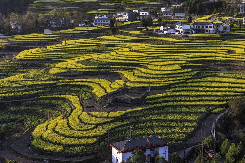 微信图片_20240304151017