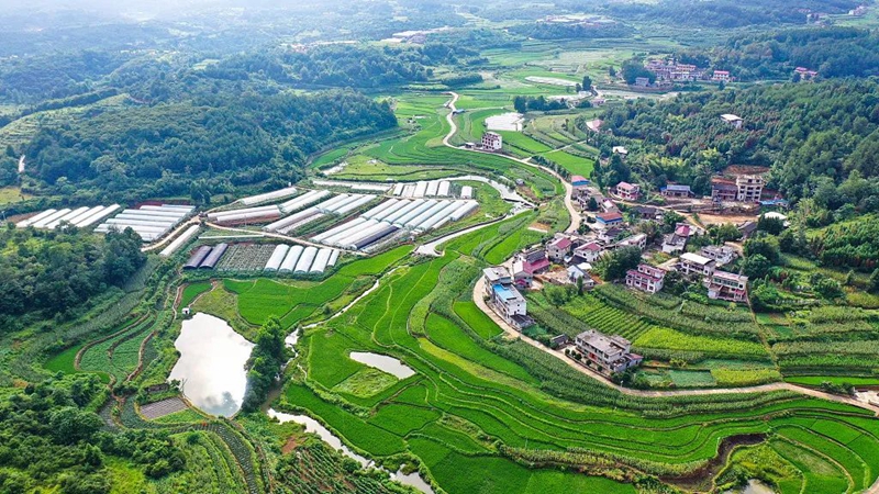 微信图片_20240304151021