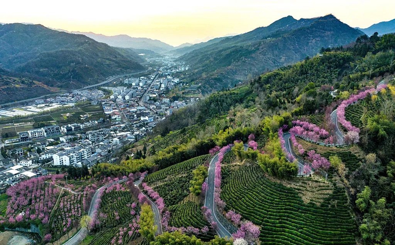 微信图片_20240304151028