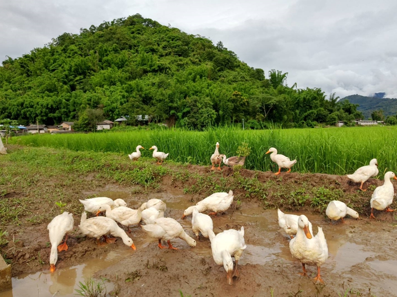 微信图片_20240304151119