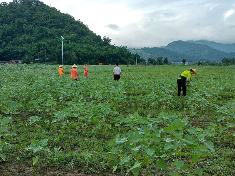 微信图片_20240304151122