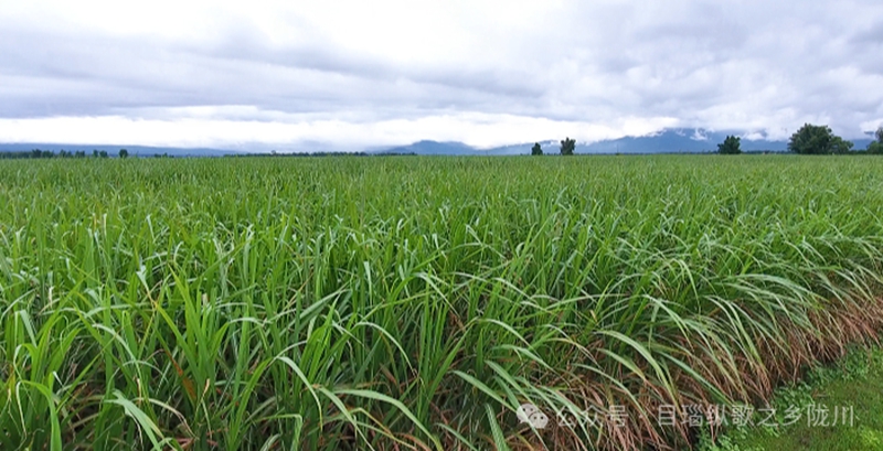 微信图片_20240425093048