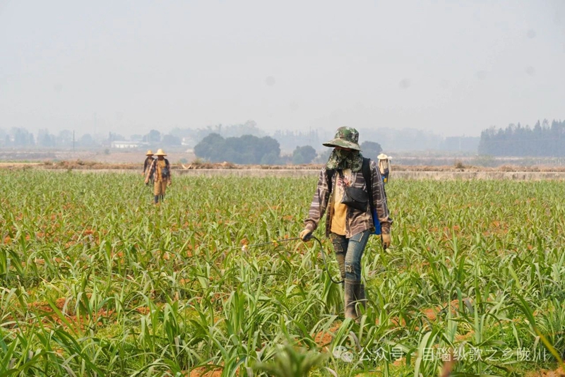 微信图片_20240425093056