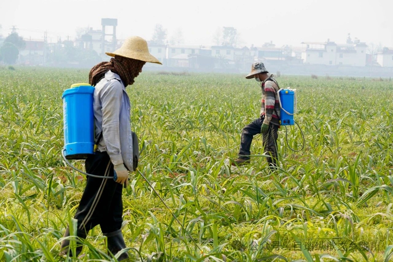 微信图片_20240425093100