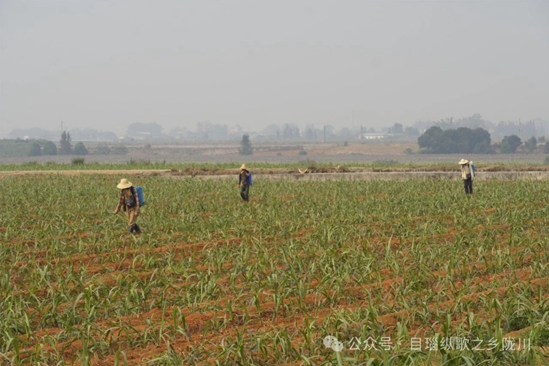 微信图片_20240425093104