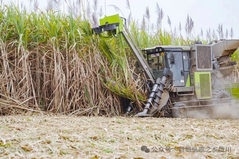 微信图片_20240425093107