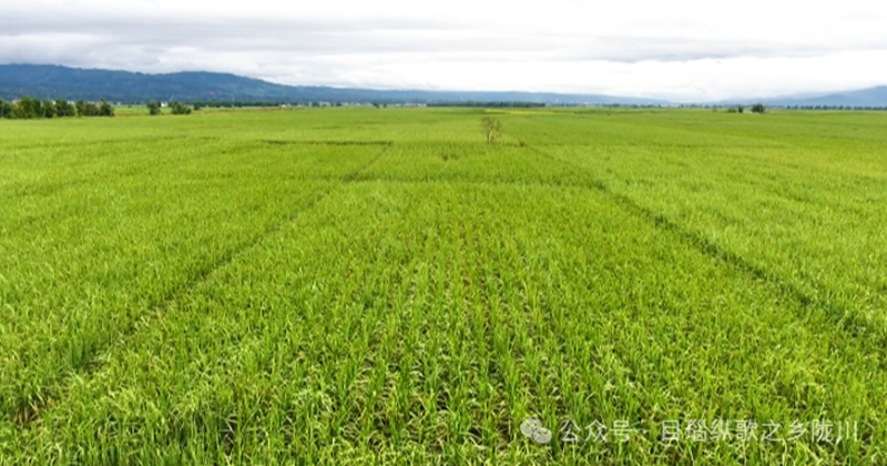 微信图片_20240425093114