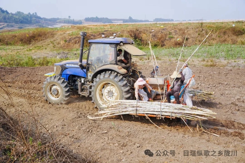 微信图片_20240425093120