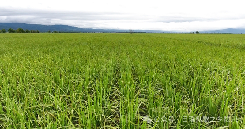 微信图片_20240425093123