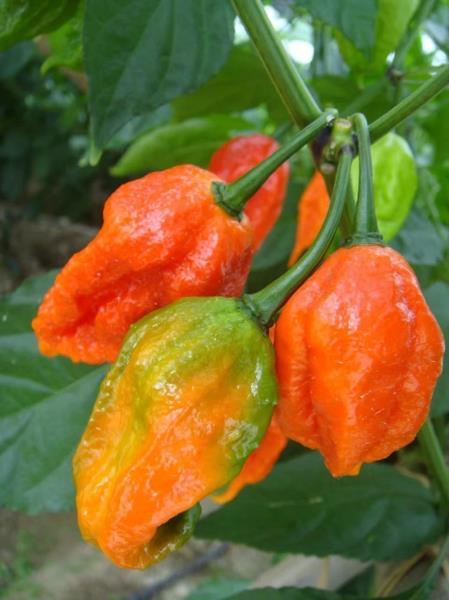 微信图片_20240523100243