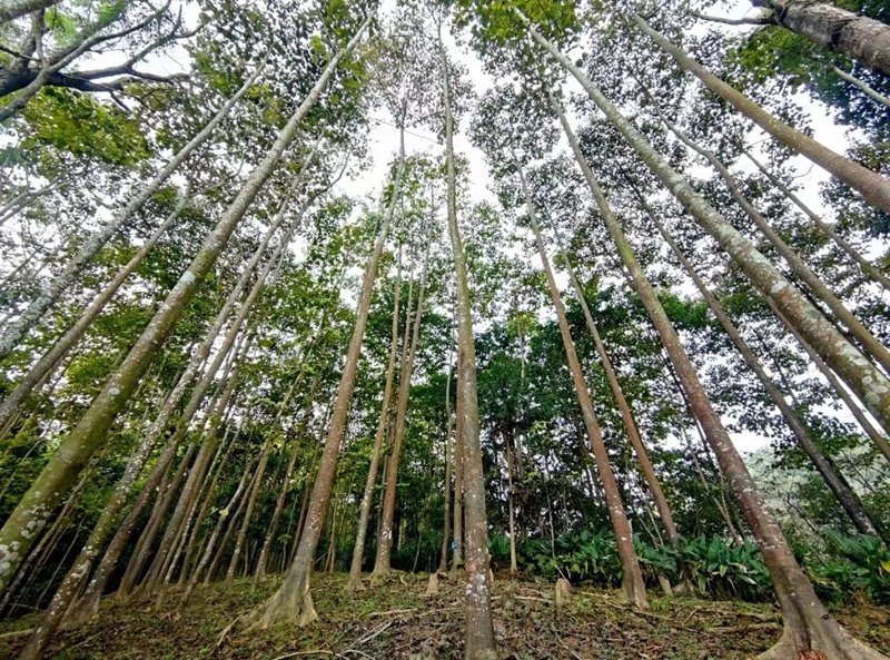 微信图片_20240523100246