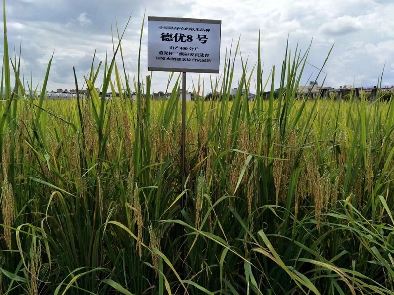 微信图片_20240523100250