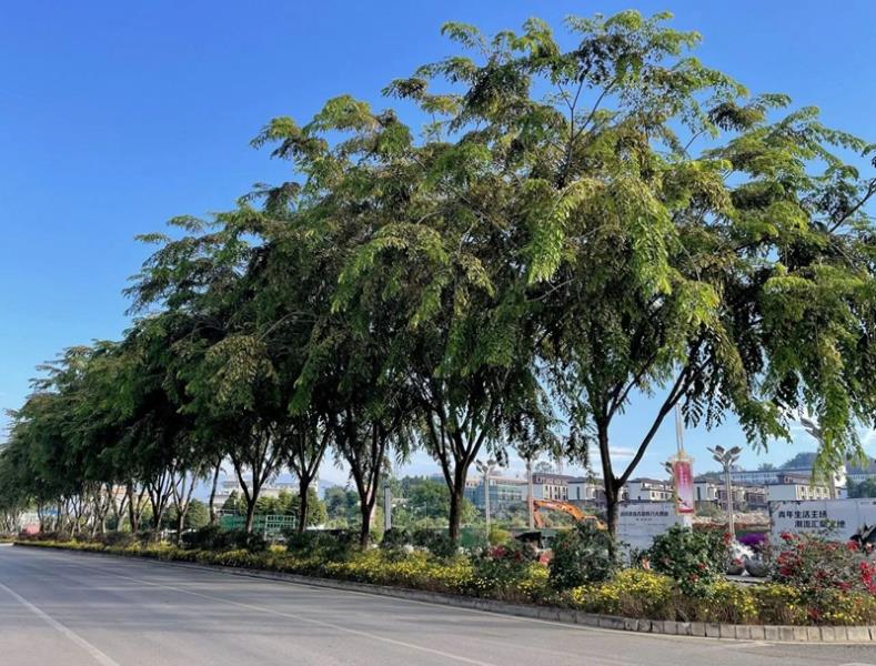 微信图片_20240523100255