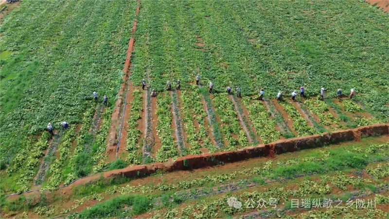 微信图片_20240621155811