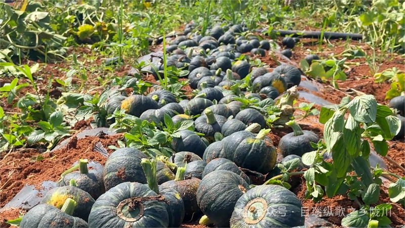 微信图片_20240621155814