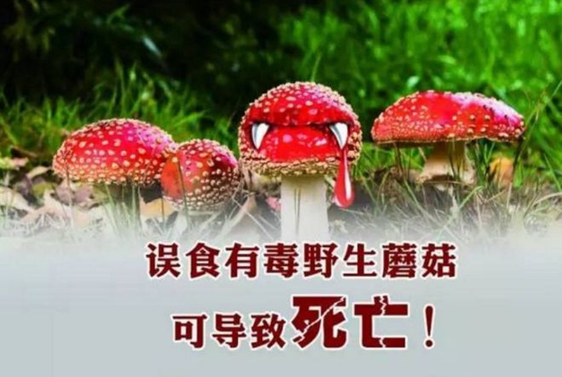 微信图片_20240627100554