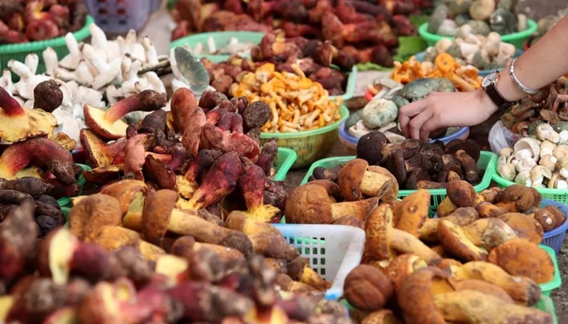 微信图片_20240627100559