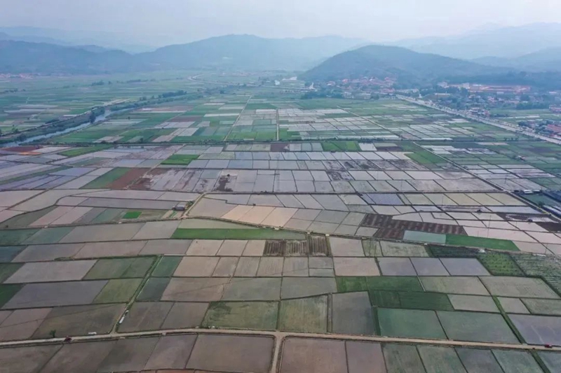 微信图片_20240627100927