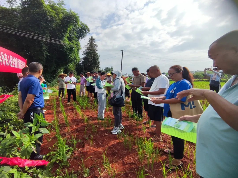 微信图片_20240726100727