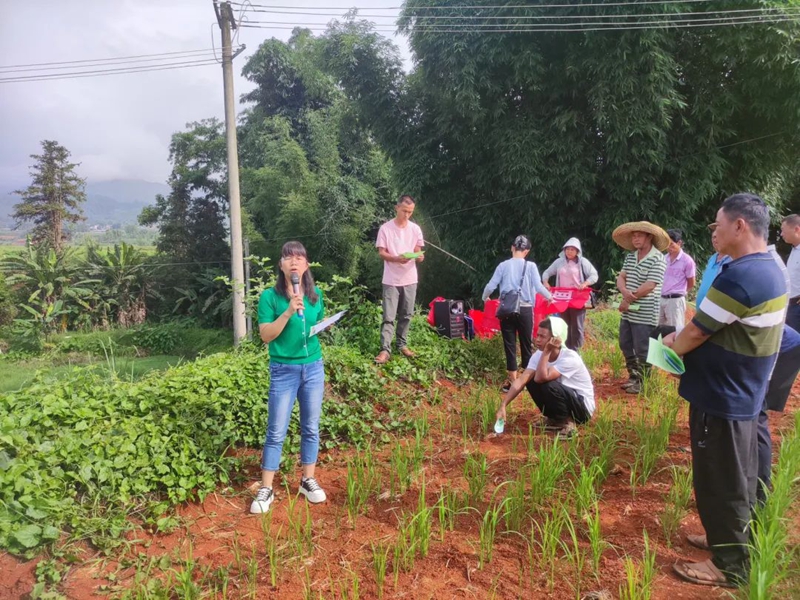 微信图片_20240726100732