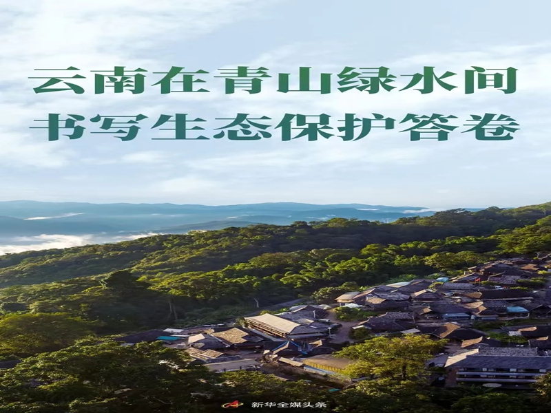 微信图片_20240823150701