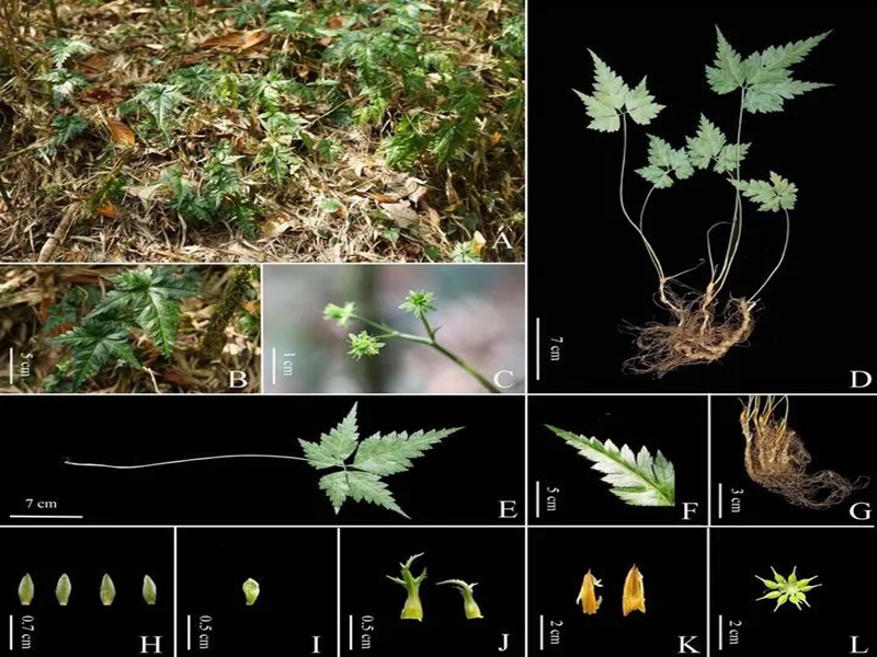 微信图片_20240823150705