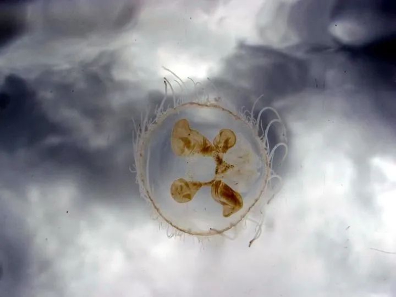 微信图片_20240823150708