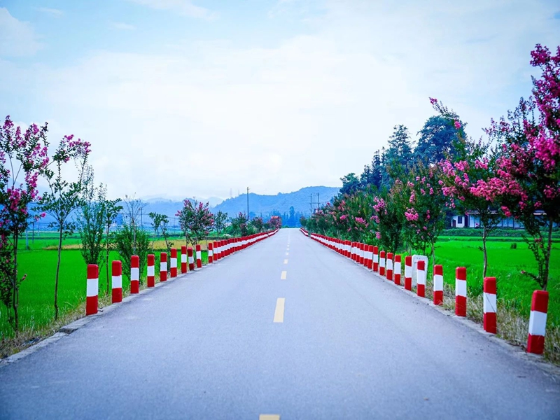 微信图片_20240823150834