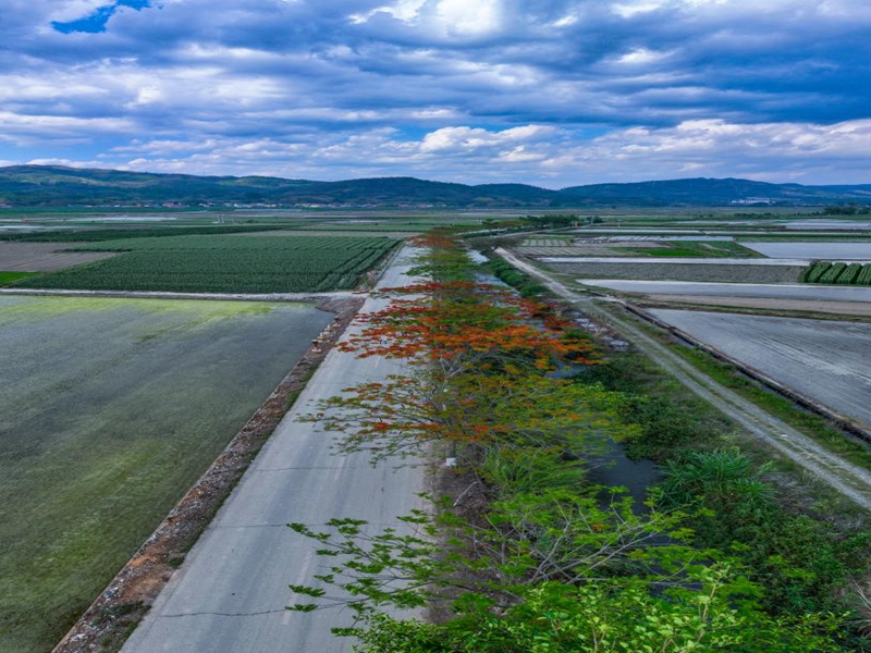 微信图片_20240823150844