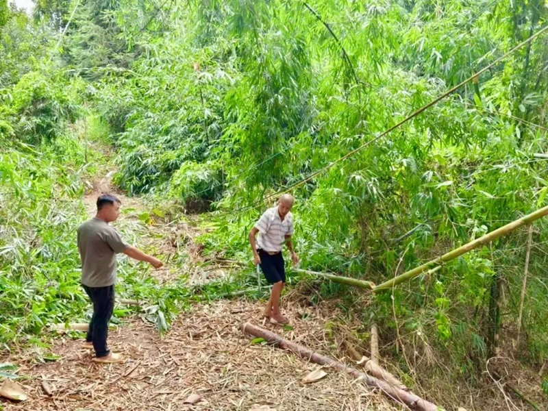 微信图片_20240910091602