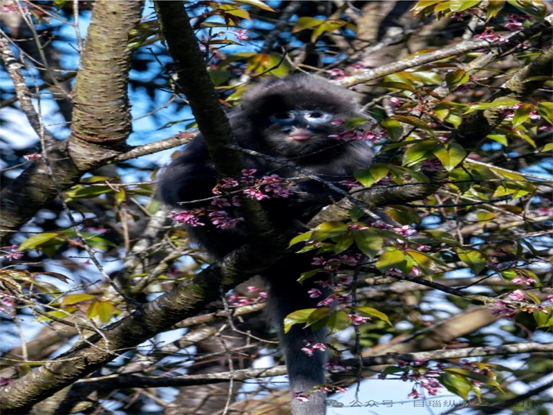 微信图片_20240913103316