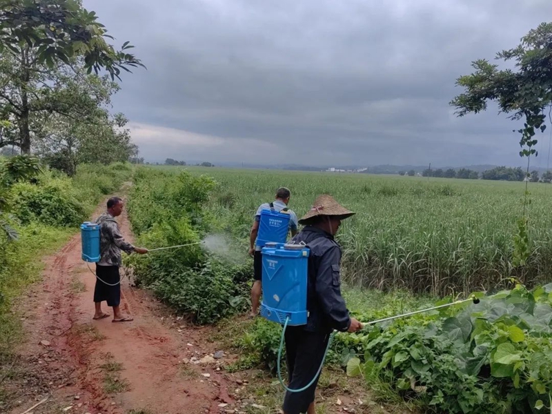 微信图片_20241009093504