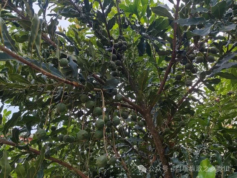 微信图片_20241009094114