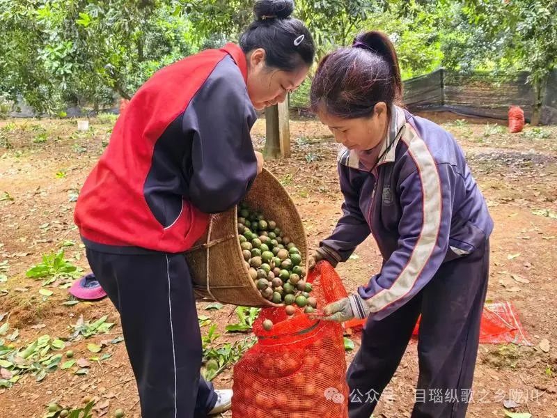 微信图片_20241009094118