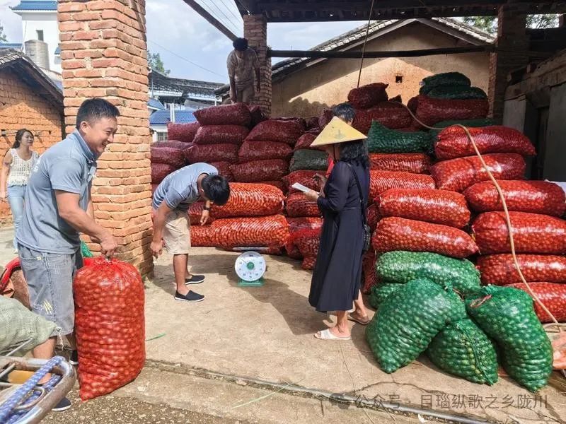 微信图片_20241009094121