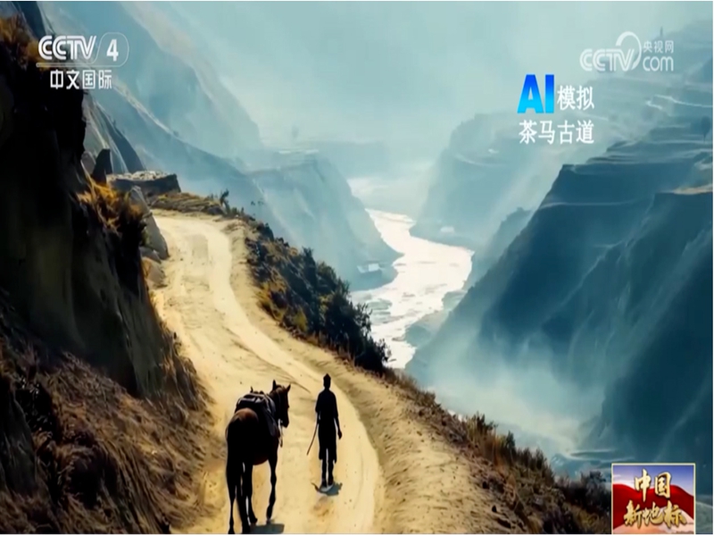 微信图片_20241011103603