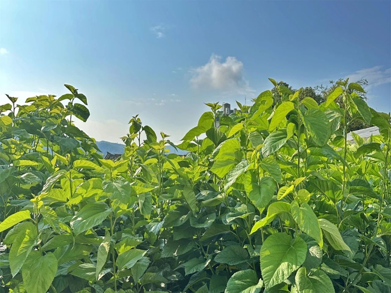 微信图片_20241107164152