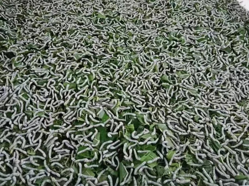 微信图片_20241107164154