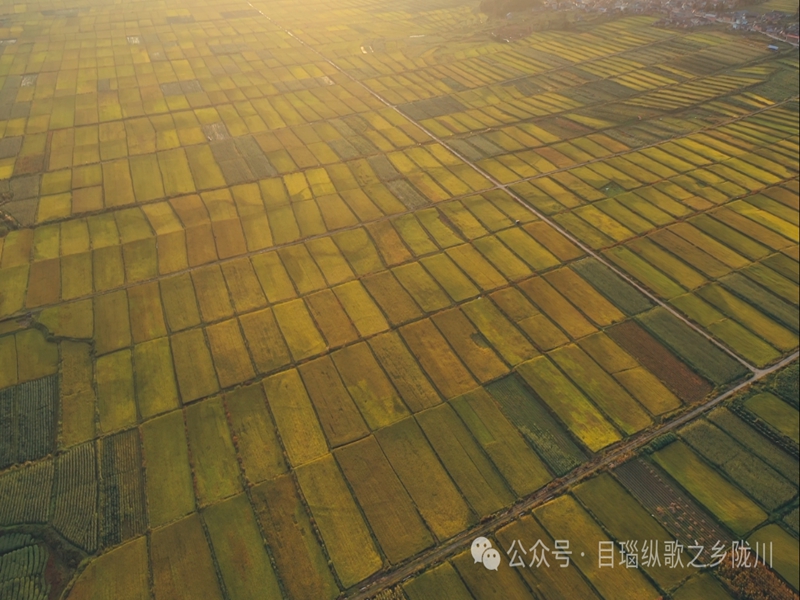 微信图片_20241108094208