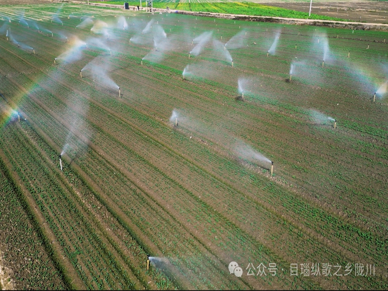 微信图片_20241108094218