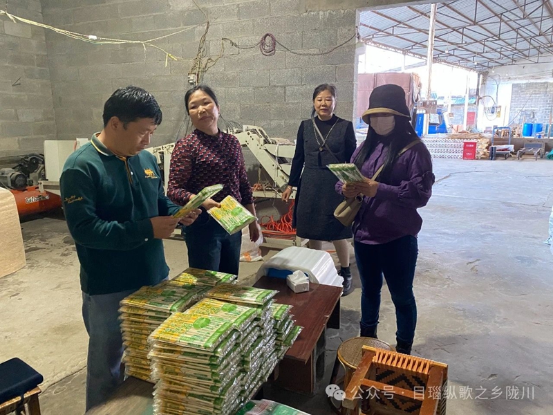 微信图片_20241206100208