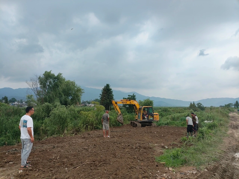 微信图片_20241206100925