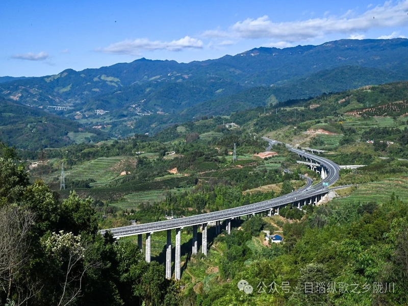 微信图片_20241210101435